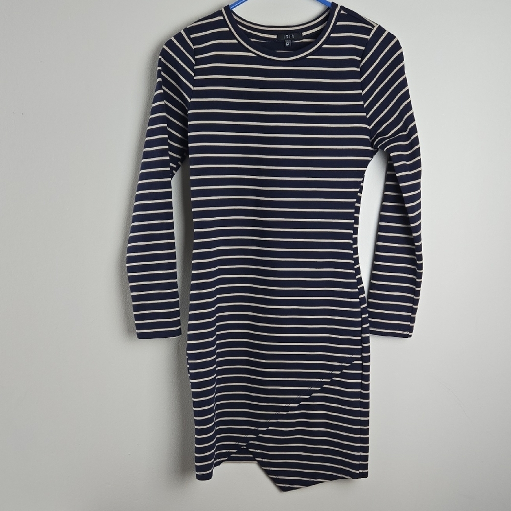 Iris Blue and White Long Sleeve Crew Neck‎ Dress